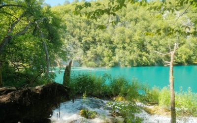 Embracing Eco-Conscious Exploration: How Moondrive Leads Sustainable Travel